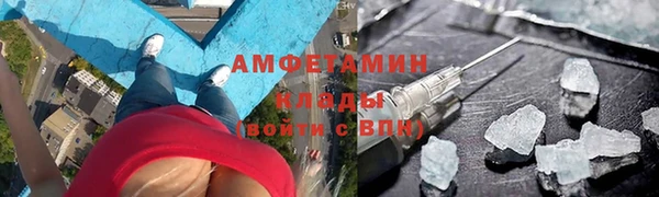 твердый Ладушкин