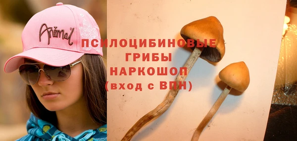 бутират Лагань
