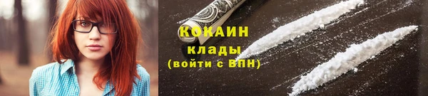 твердый Ладушкин