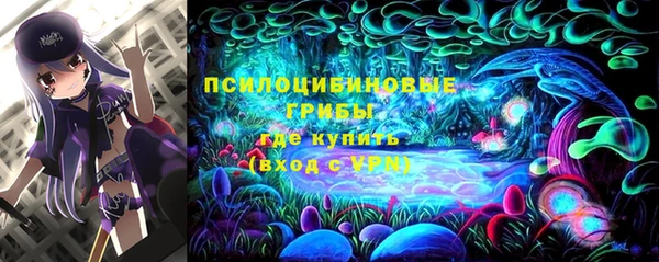 MESCALINE Гусиноозёрск