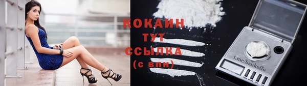 каннабис Гусев