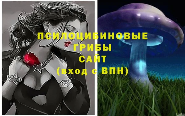 мяу мяу мука Гусь-Хрустальный
