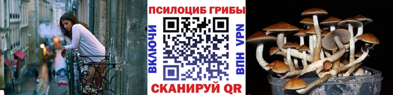 Галлюциногенные грибы Cubensis  купить закладку  Наро-Фоминск 