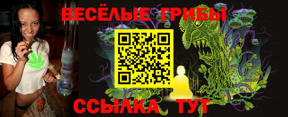 Псилоцибиновые грибы мухоморы Наро-Фоминск
