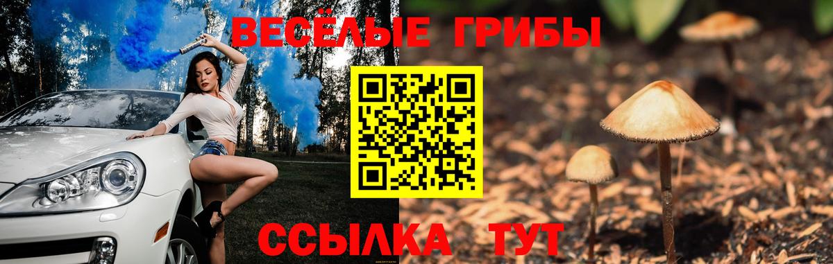 Псилоцибиновые грибы мицелий  Псилоцибиновые грибы Psilocybine cubensis  Вход с VPN  Наро-Фоминск 
